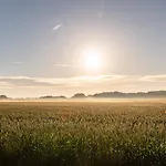 Einer Malerin Vakantiehuis *