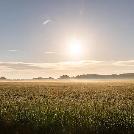 Einer Malerin بيت للعطل *