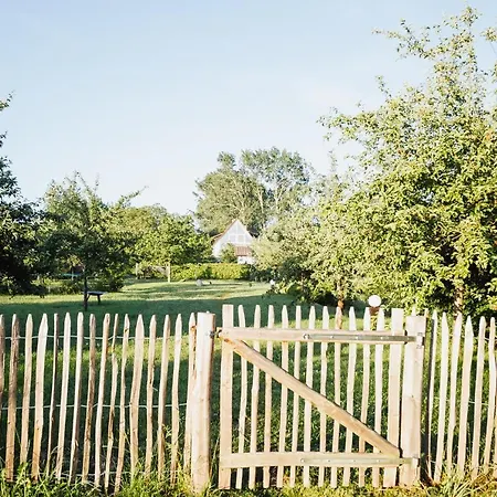 Einer Malerin Tatil Evi Poseritz